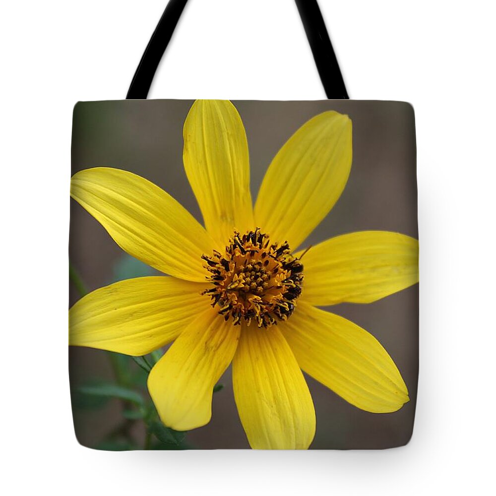 Macro Tote Bag featuring the photograph Autumn Flower by Ester McGuire