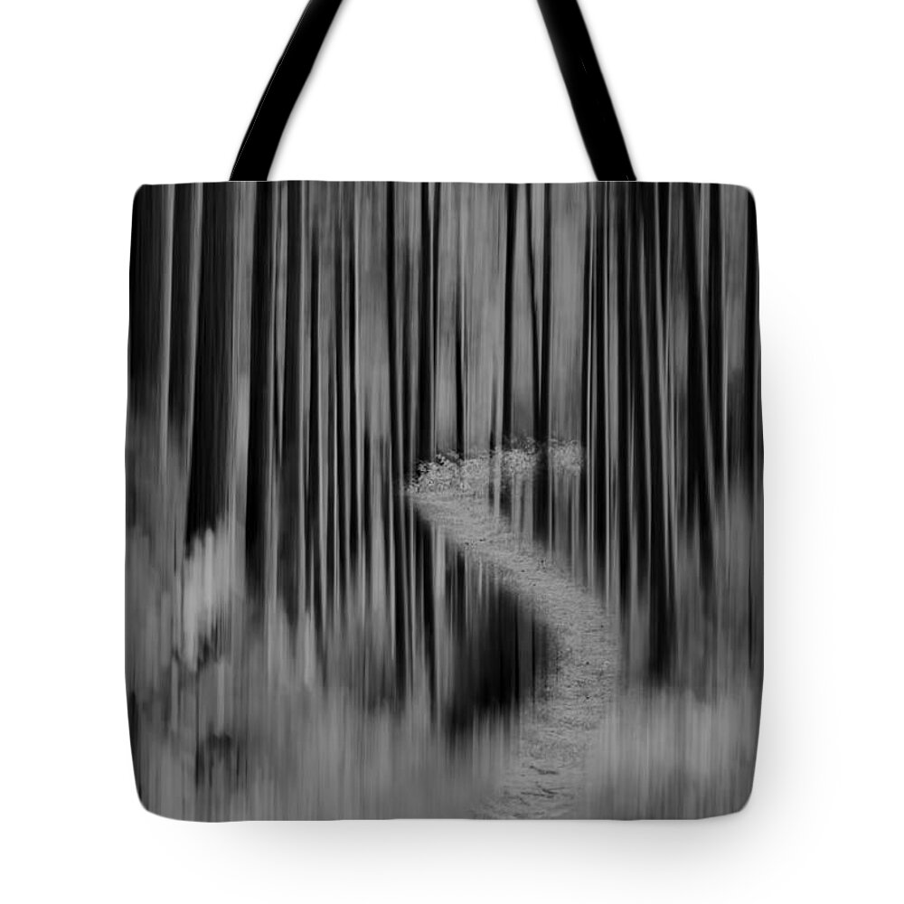 Forest Tote Bag featuring the photograph Autumn Forest Abstract Version 2 by Thomas Young