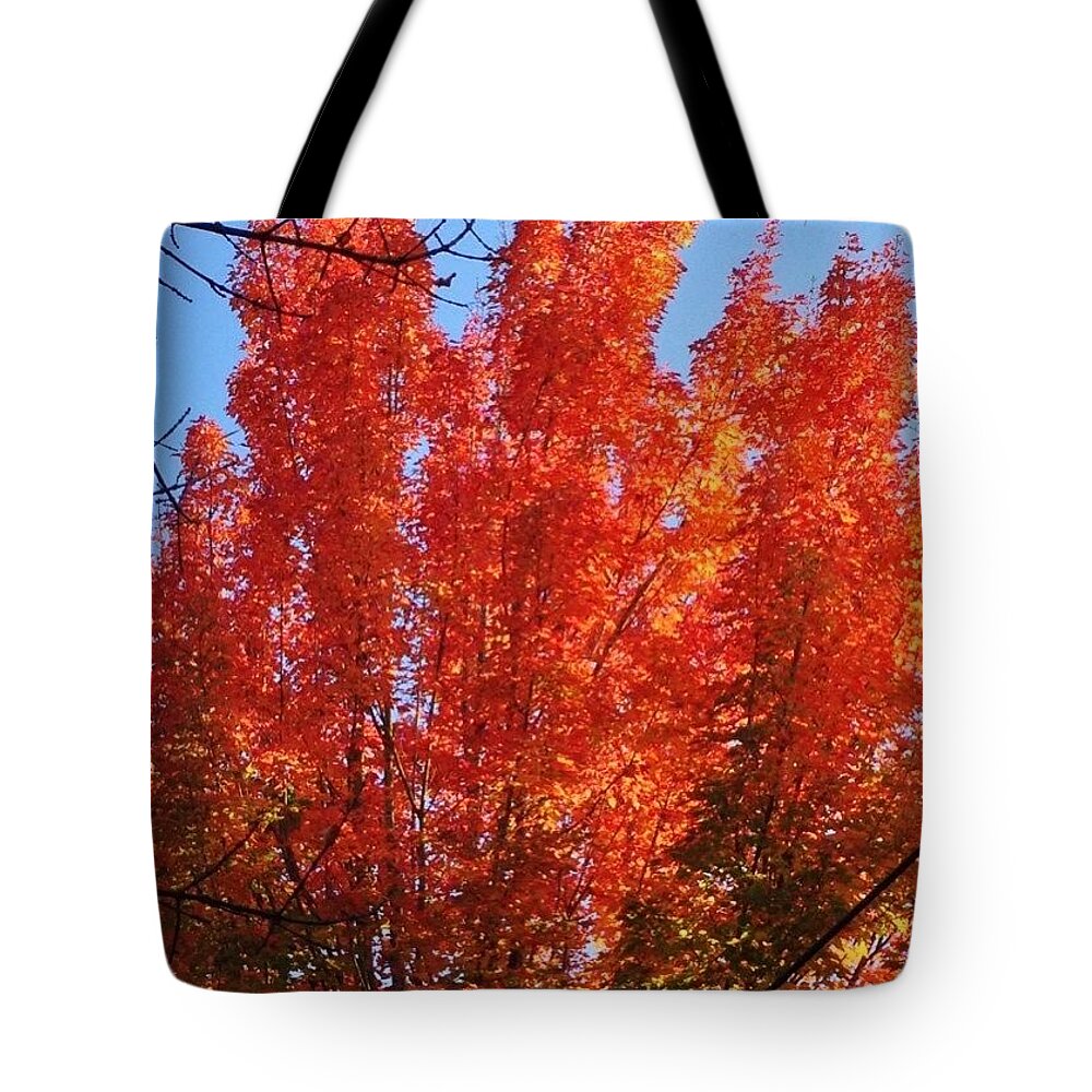 Leaveschangingcolor Tote Bag featuring the photograph Autumn Glory In Oregon #autumn by Anna Porter