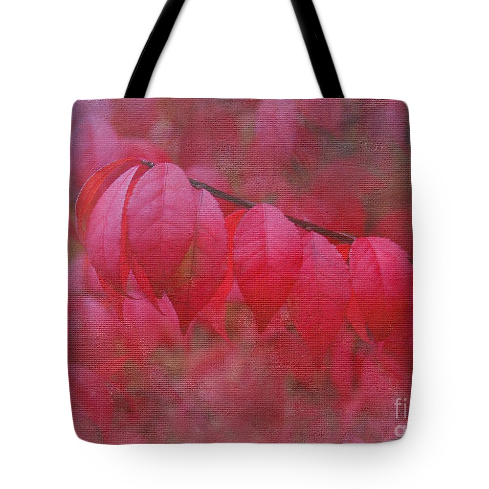 Autumn Tote Bag featuring the photograph Autumn Glory by Jayne Carney