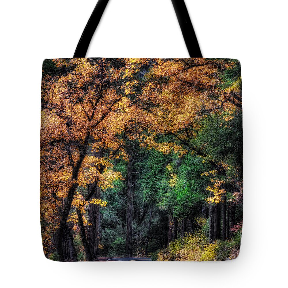 Yosemite Tote Bag featuring the photograph Autumn Glow by Anthony Michael Bonafede