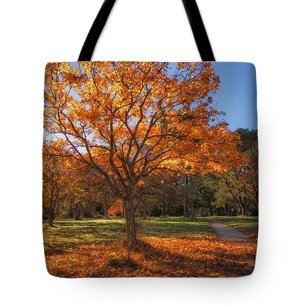 British Columbia Tote Bag featuring the photograph Autumn Glow by Carrie Cole