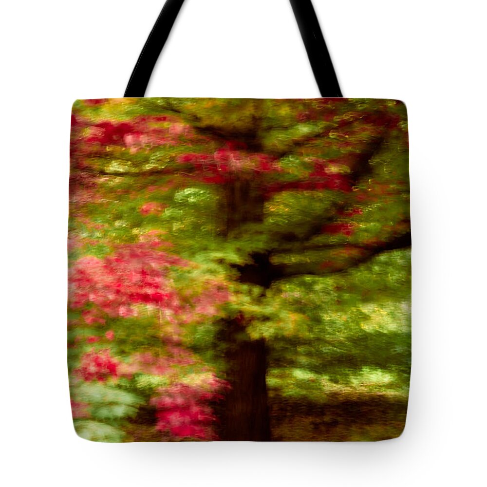 Abstract Tote Bag featuring the photograph Autumn Impressions 3 by Venetta Archer