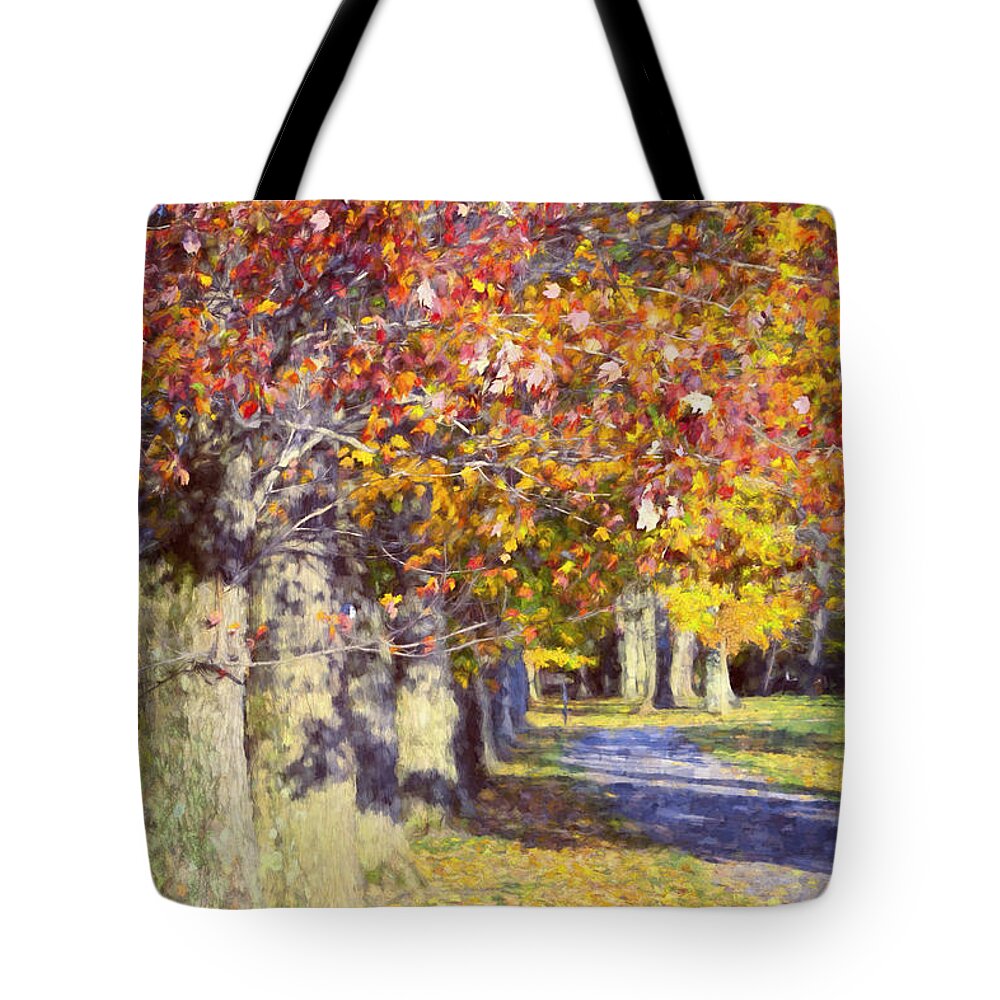 Autumn Tote Bag featuring the photograph Autumn in Hyde Park by Joan Carroll