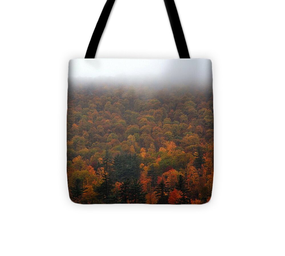 Autumn Tote Bag featuring the photograph Autumn in New Hampshire by Phyllis Meinke