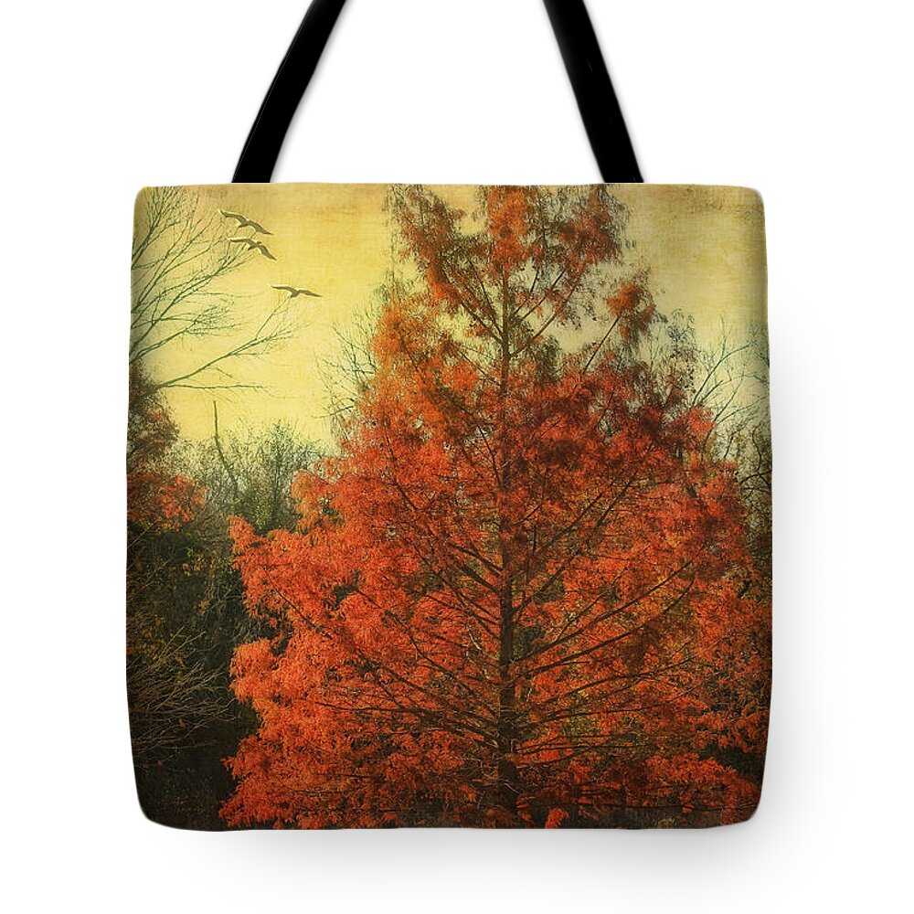 Trees Tote Bag featuring the photograph Autumn in Texas by Joan Bertucci