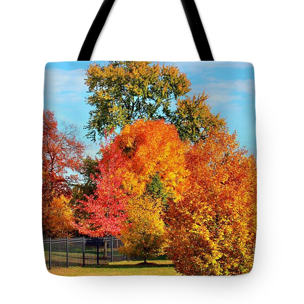 Autumn Tote Bag featuring the photograph Autumn In The Air by Judy Palkimas