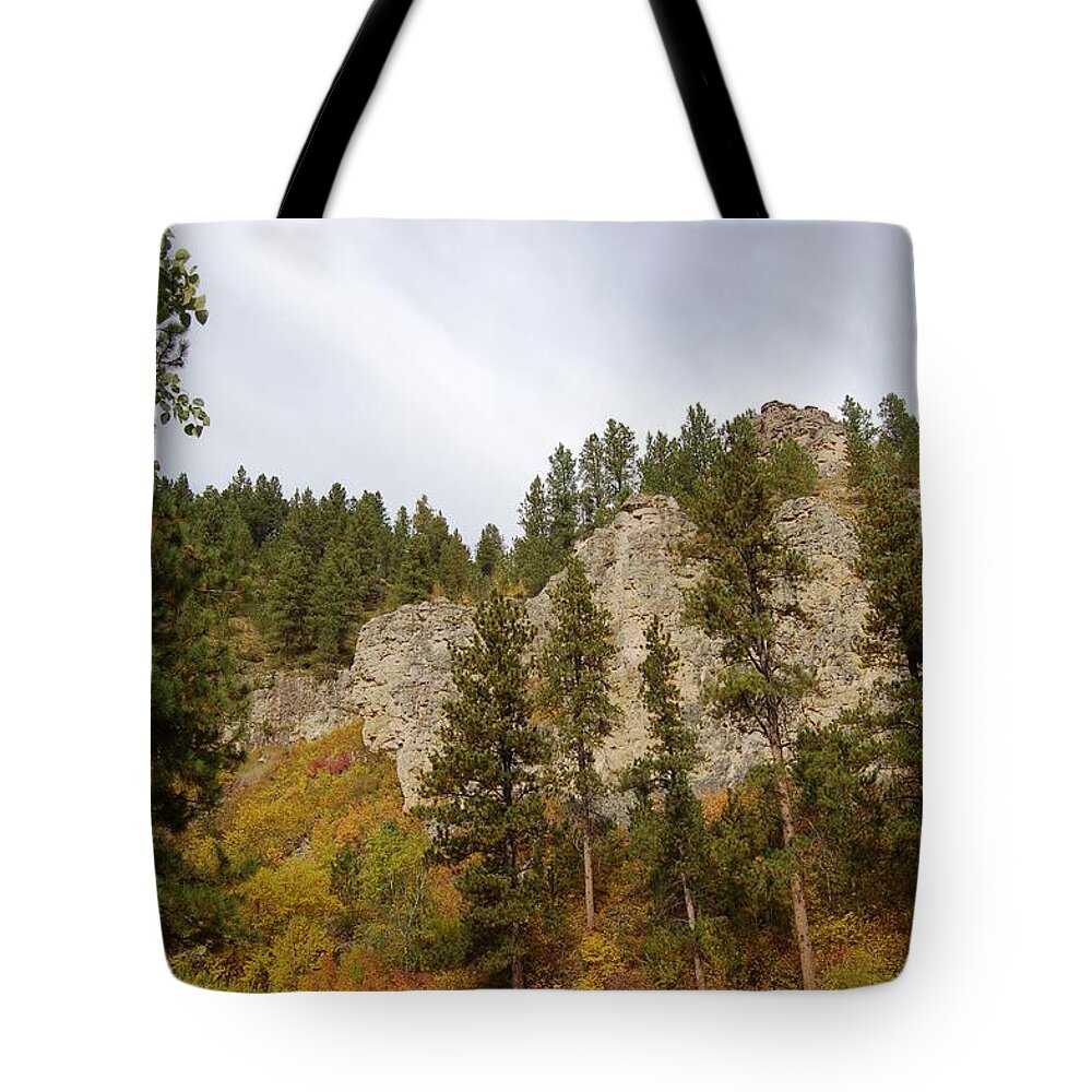 Autumn Tote Bag featuring the photograph Autumn in the Canyon by Greni Graph