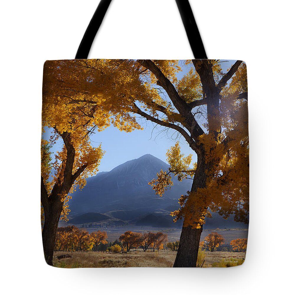 Autumn Tote Bag featuring the photograph Autumn in the Mountains by Andrew Soundarajan