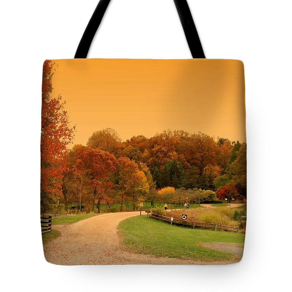 Autumn Tote Bag featuring the photograph Autumn In The Park - Holmdel Park by Angie Tirado