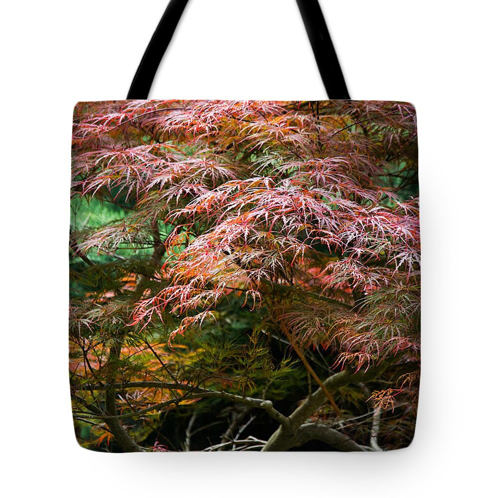 Autumn Tote Bag featuring the photograph Autumn Is Here by Parker Cunningham