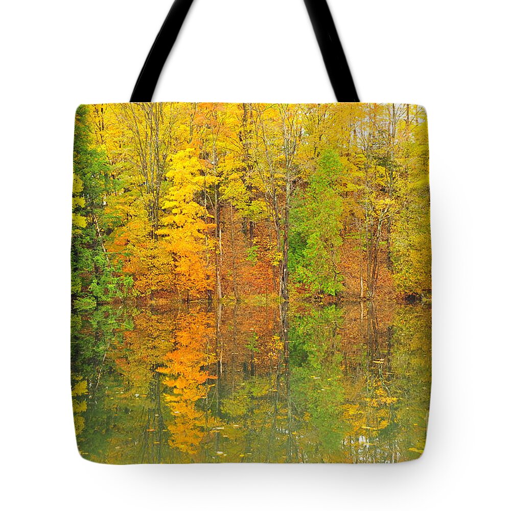 Autumn Tote Bag featuring the photograph Autumn Reflection by Terri Gostola