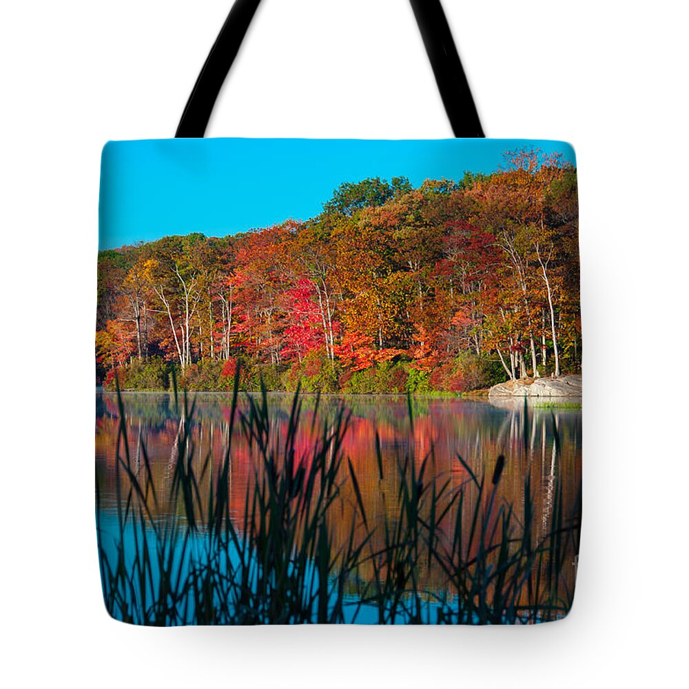 Harriman State Park Tote Bag featuring the photograph Autumn Lake by Anthony Sacco