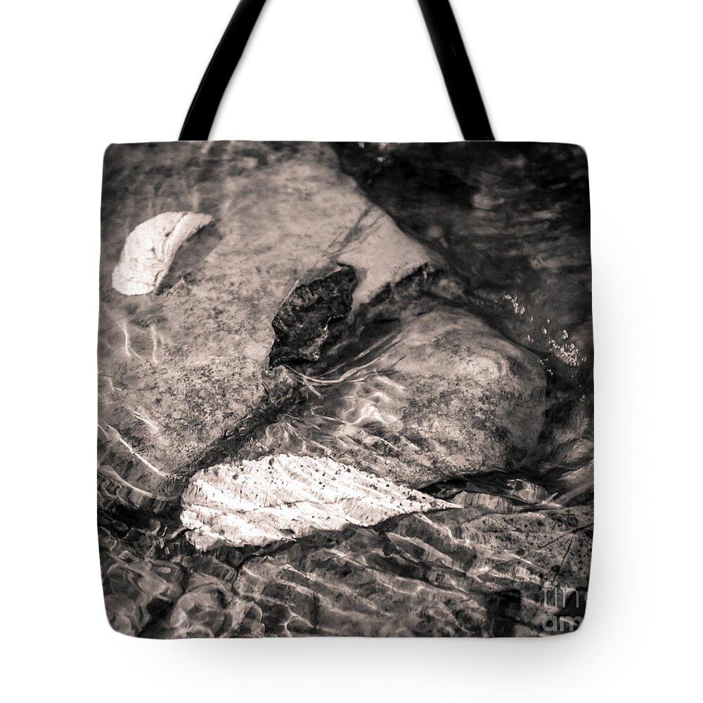 Tote Bag featuring the photograph Autumn Leaves B W by Arne Hansen