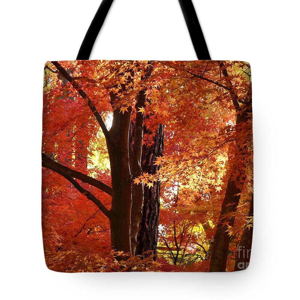 Autumn Leaves Tote Bag featuring the photograph Autumn Leaves by Carol Groenen
