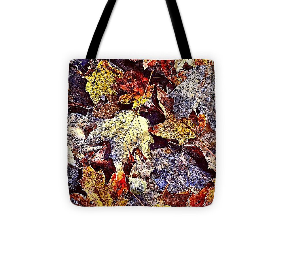 Autumn Tote Bag featuring the photograph Autumn Leaves with Frost by Phyllis Meinke