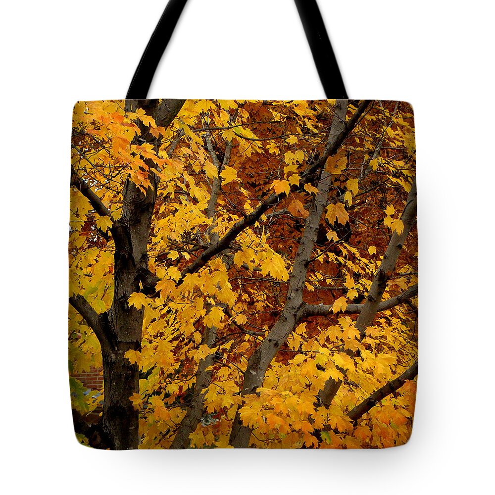 Fall Tote Bag featuring the photograph Autumn Moods 21 by Rodney Lee Williams