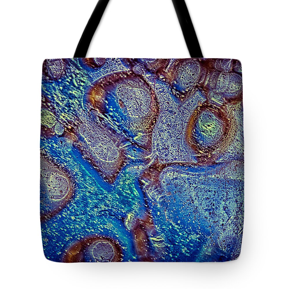Autumn Tote Bag featuring the photograph Autumn Colors Sing The Blues by Omaste Witkowski