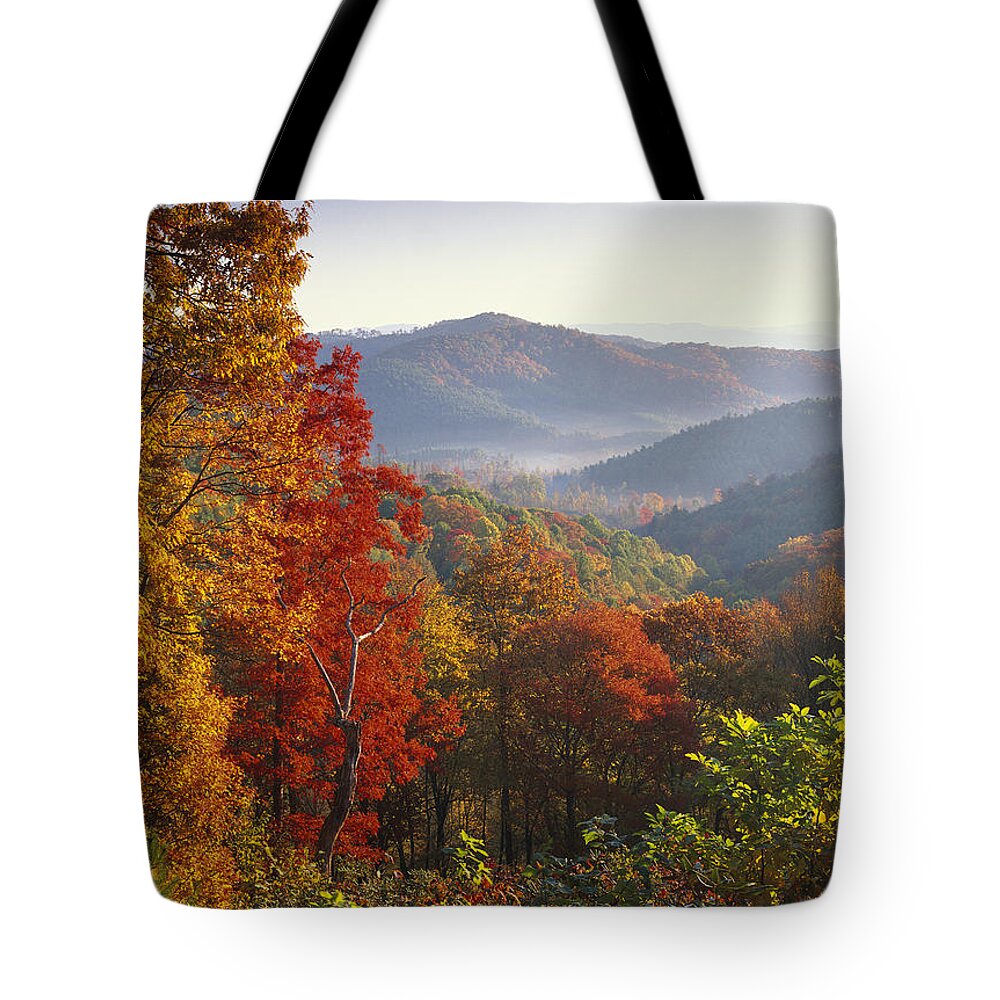 Feb0514 Tote Bag featuring the photograph Autumn On Blue Ridge Range Near Jumping by Tim Fitzharris