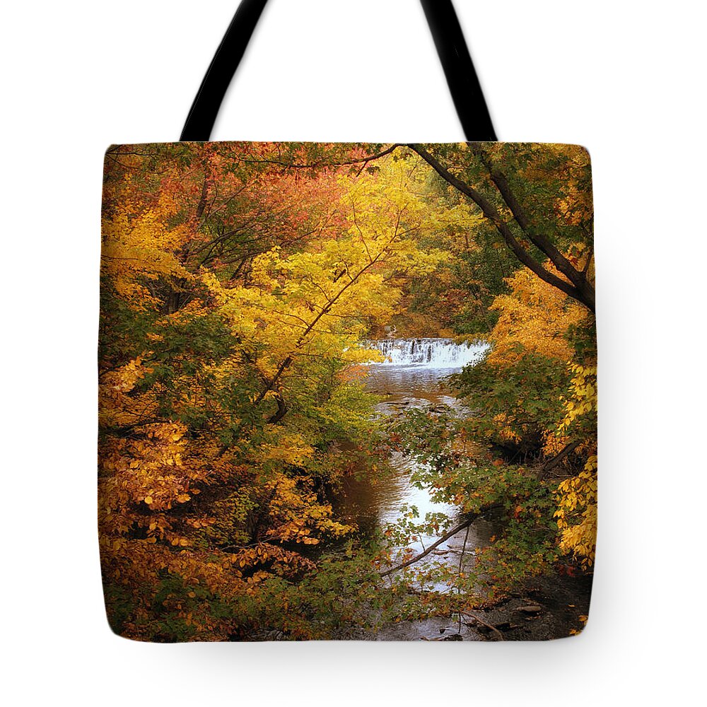 Waterfall Tote Bag featuring the photograph Autumn on Display by Jessica Jenney