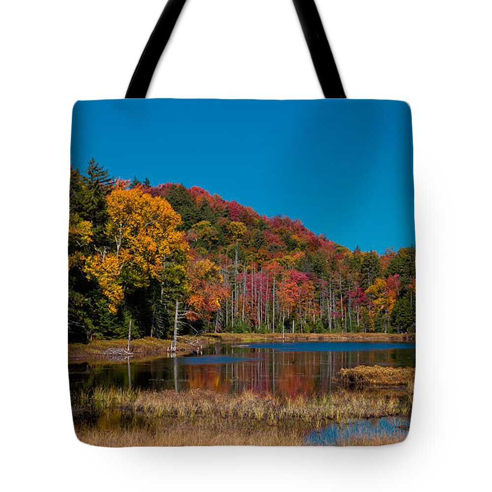 Adirondack's Tote Bag featuring the photograph Autumn on Fly Pond by David Patterson