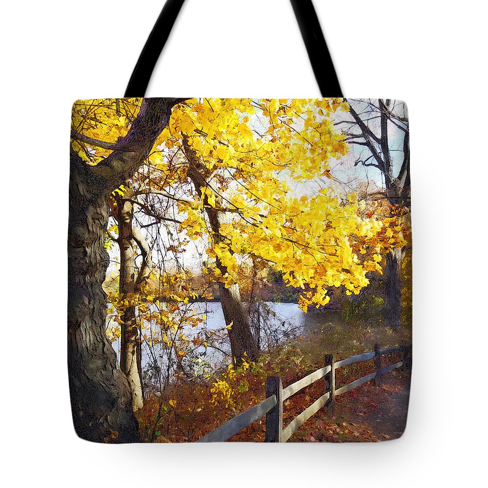 Autumn Tote Bag featuring the photograph Autumn Path in the Park by Susan Savad