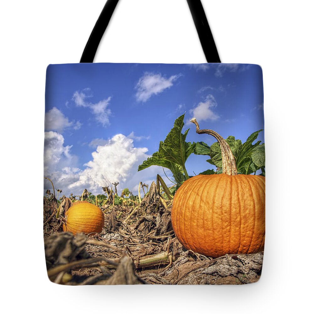 Pumpkin Tote Bag featuring the photograph Autumn Pumpkin Patch - Fall - Halloween by Jason Politte