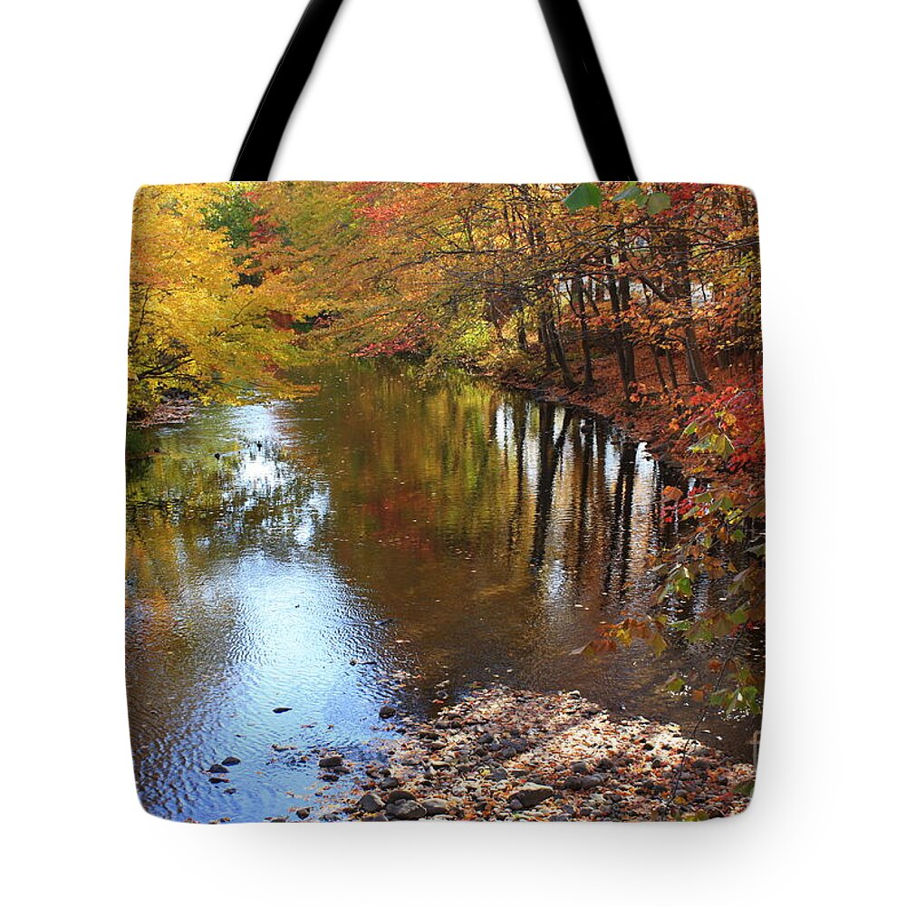 Autumn Tote Bag featuring the photograph Autumn Reflections by Dora Sofia Caputo