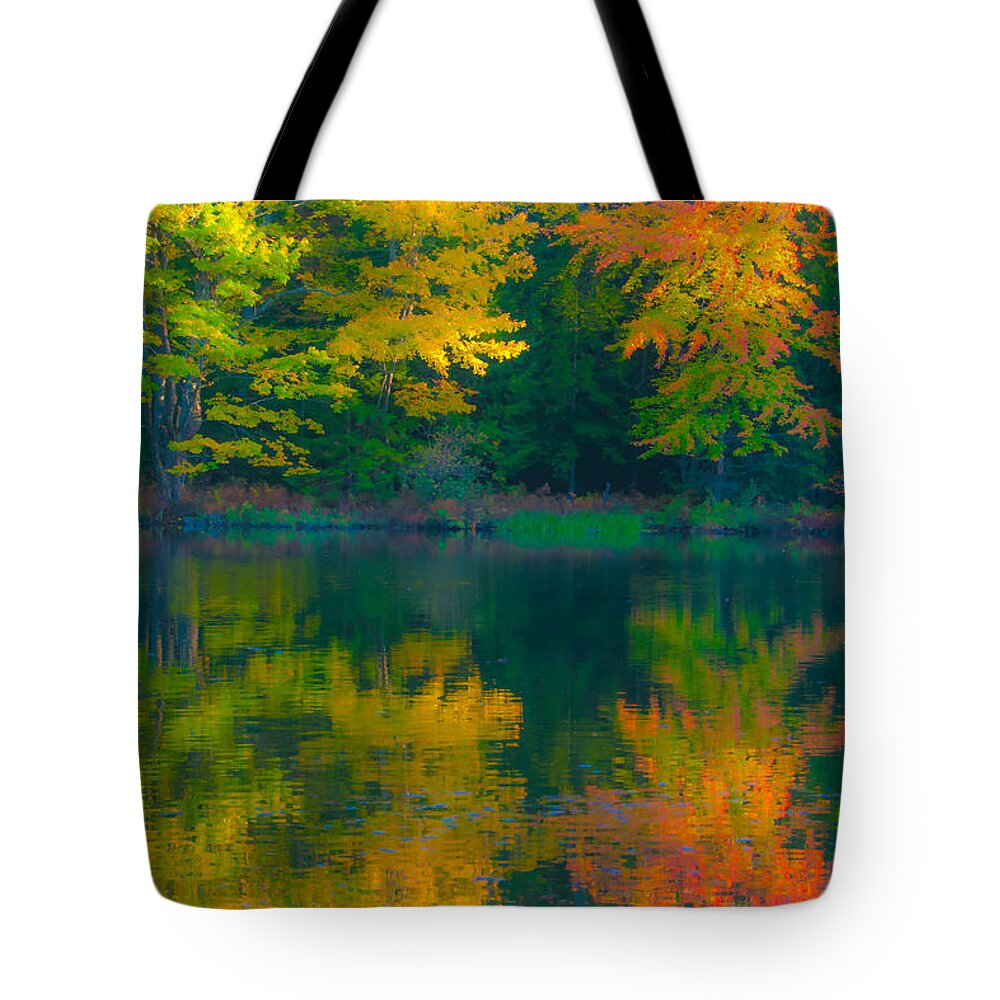 Brenda Tote Bag featuring the photograph Autumn Reflections by Brenda Jacobs