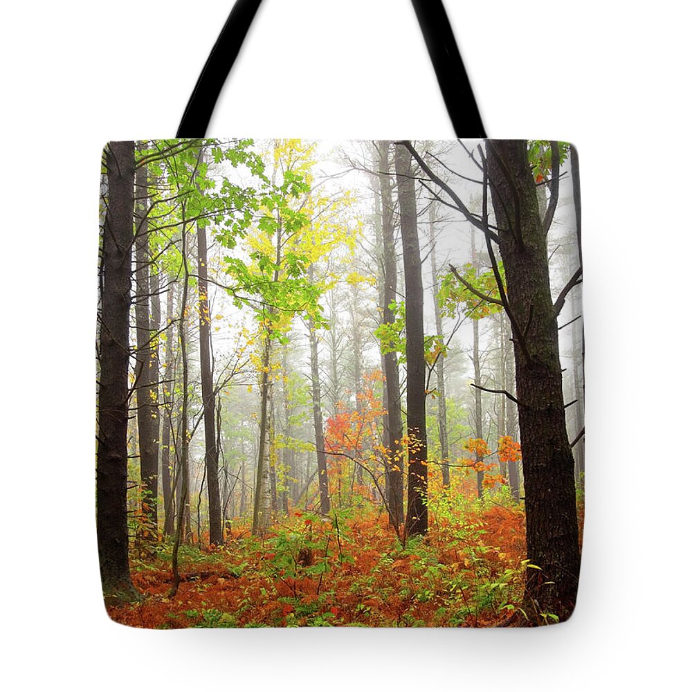 Scenics Tote Bag featuring the photograph Autumn Scenery by Denistangneyjr