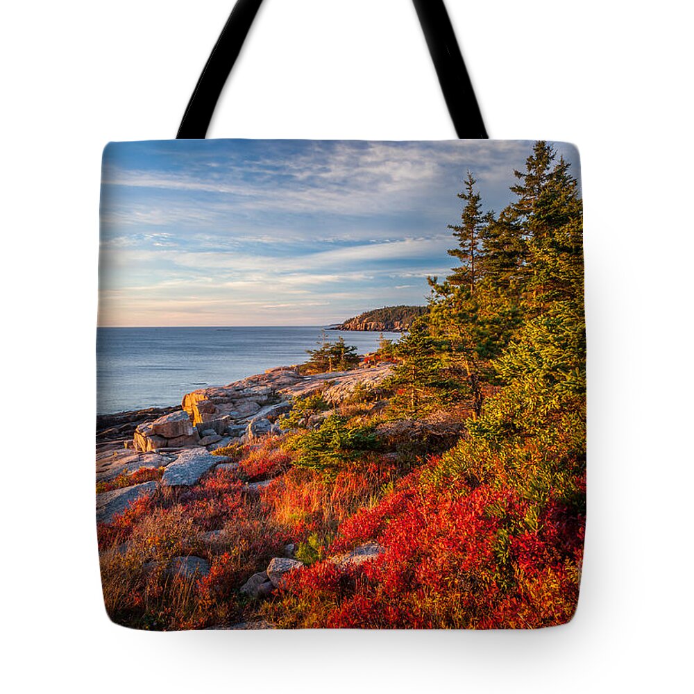 Acadia National Park Tote Bag featuring the photograph Autumn Shore in Acadia by Susan Cole Kelly