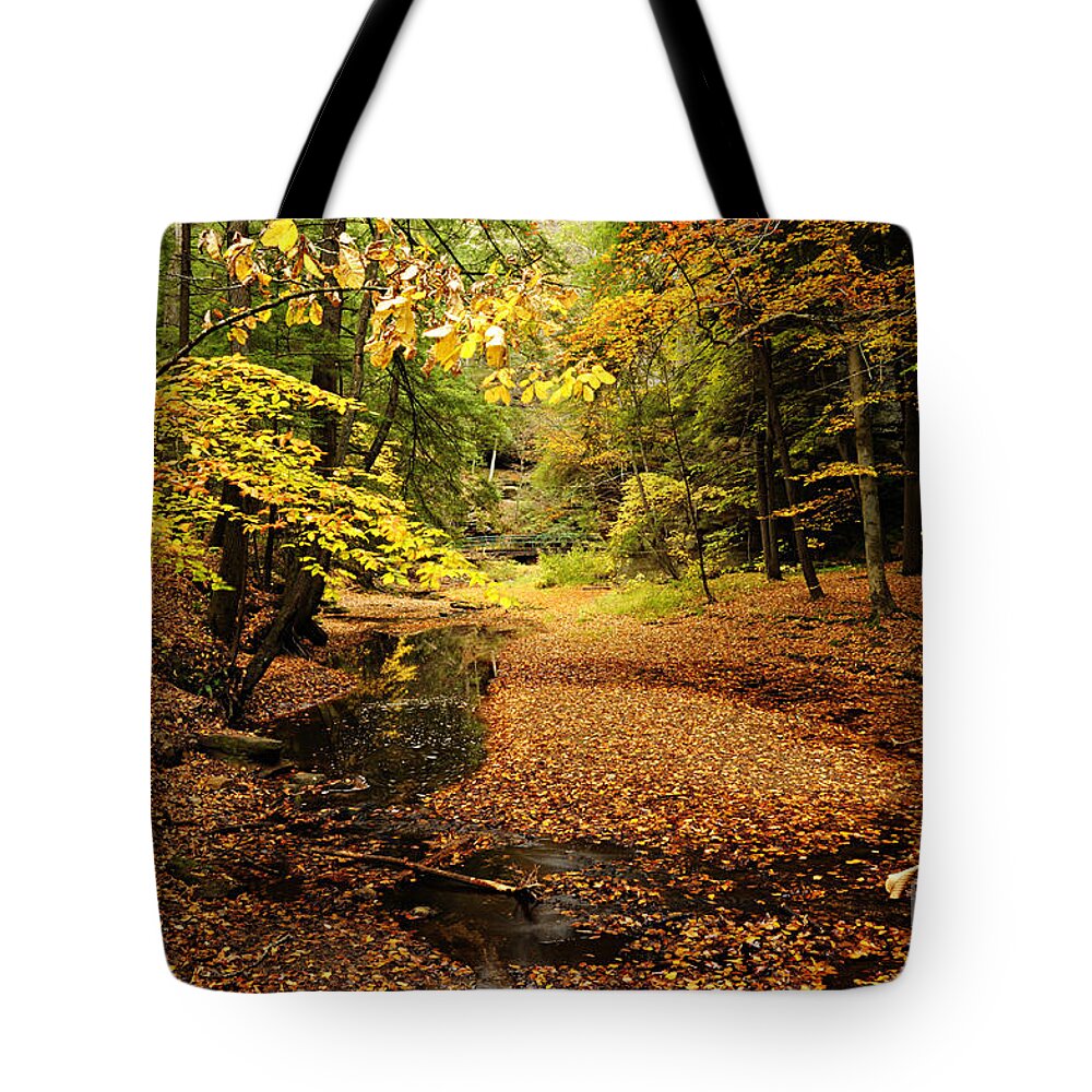 Photography Tote Bag featuring the photograph Autumn Stream by Larry Ricker