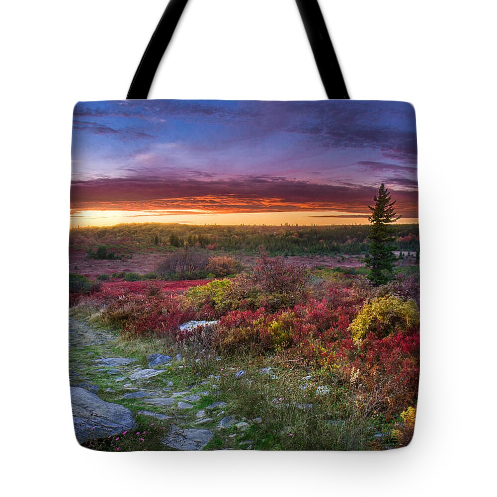 Bear Rocks Tote Bag featuring the photograph Autumn Sunset at Dolly Sods by Mary Almond