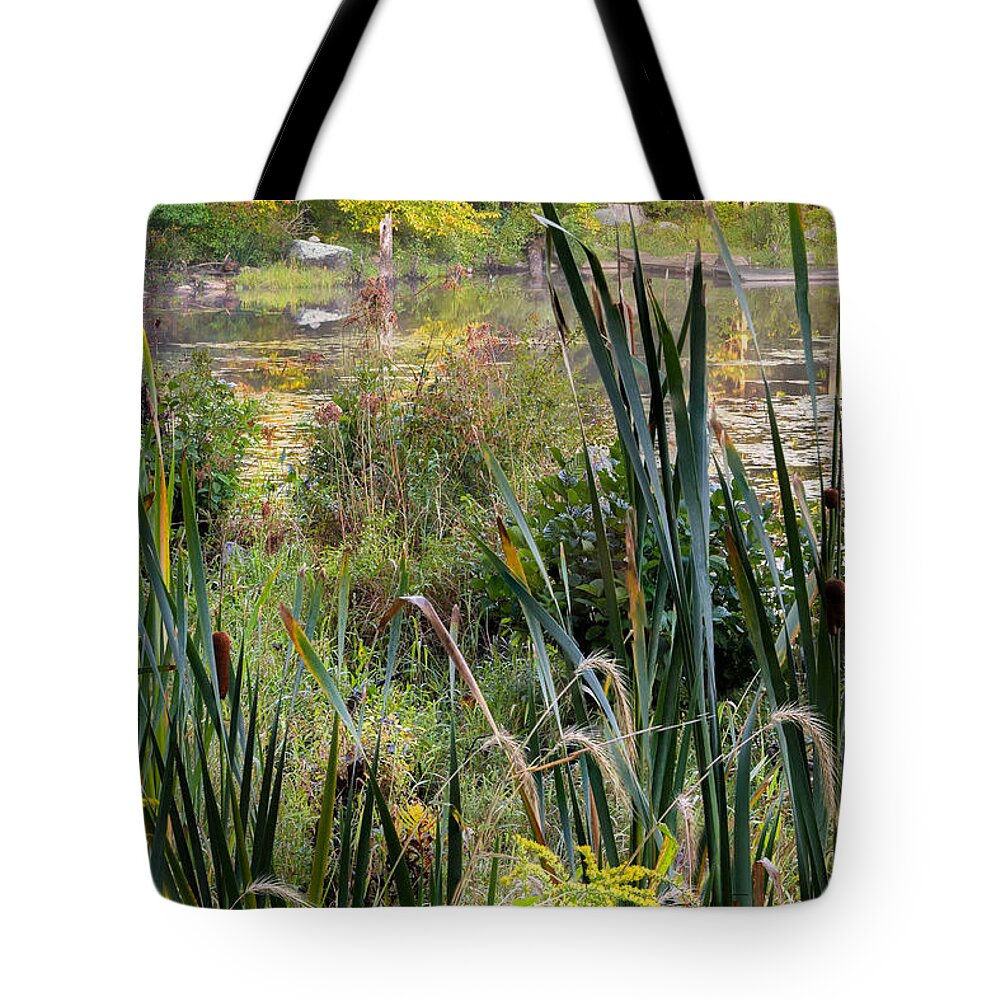 Swamp Tote Bag featuring the photograph Autumn Swamp by Bill Wakeley