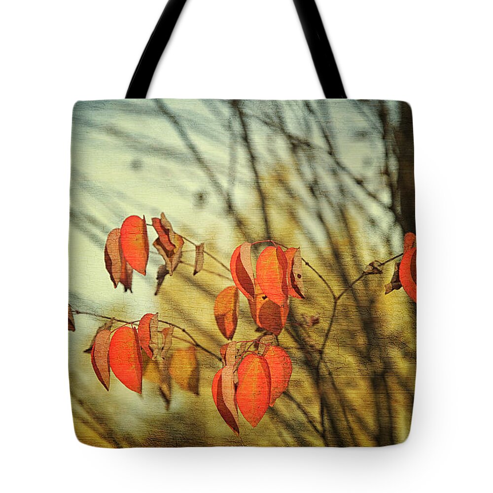 Autumn Tote Bag featuring the photograph Autumn by Theresa Tahara