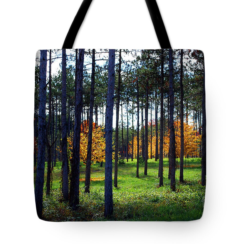 Trees Tote Bag featuring the photograph Autumn Trees by Nancy Mueller
