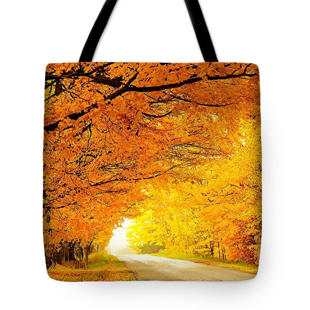 Autumn Tote Bag featuring the photograph Autumn Tunnel of Gold by Terri Gostola