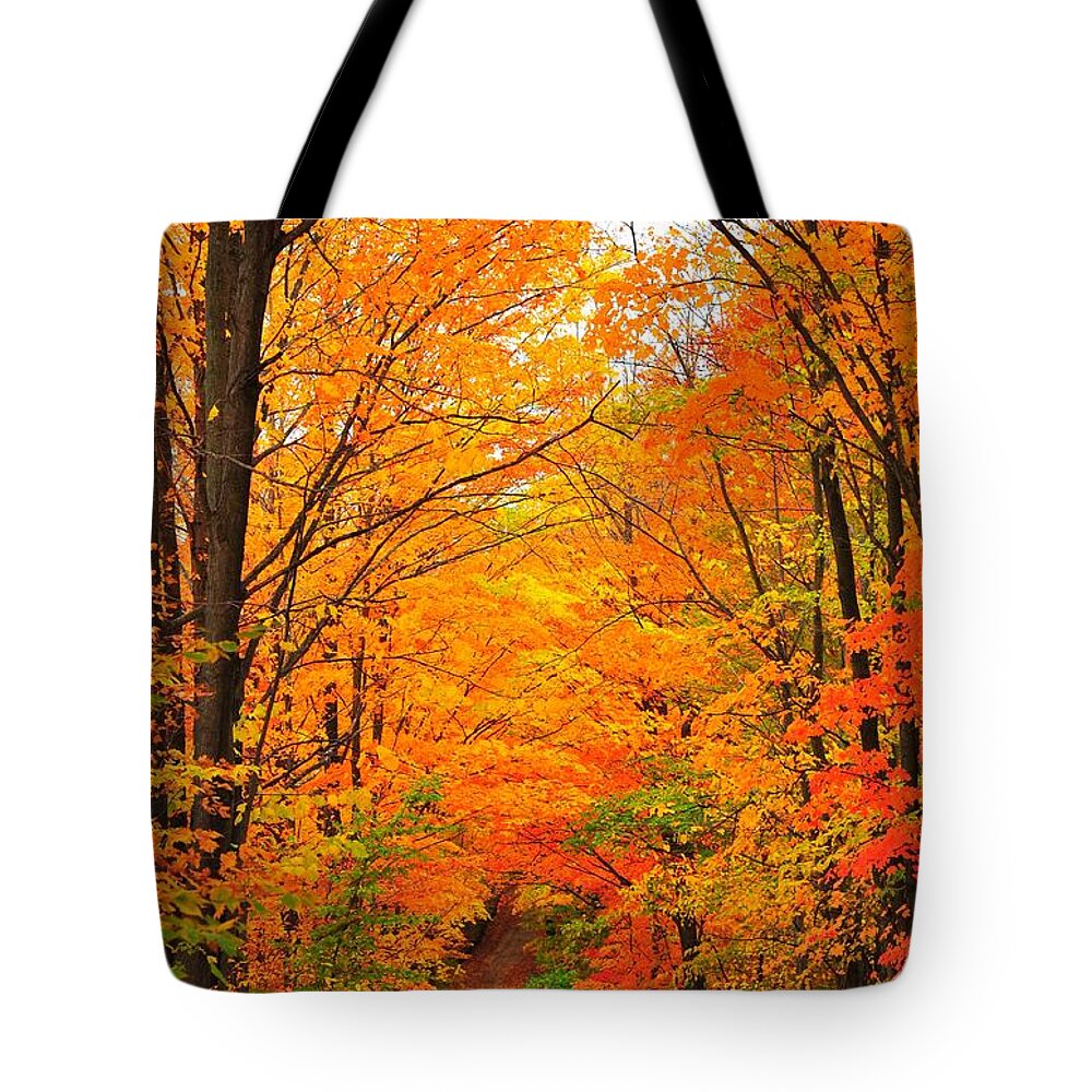 Autumn Tote Bag featuring the photograph Autumn Tunnel of Trees by Terri Gostola