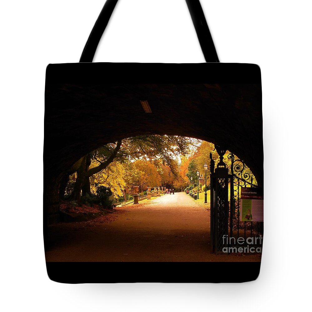 Bridge Tote Bag featuring the photograph Autumn View Under The Bridge by Joan-Violet Stretch