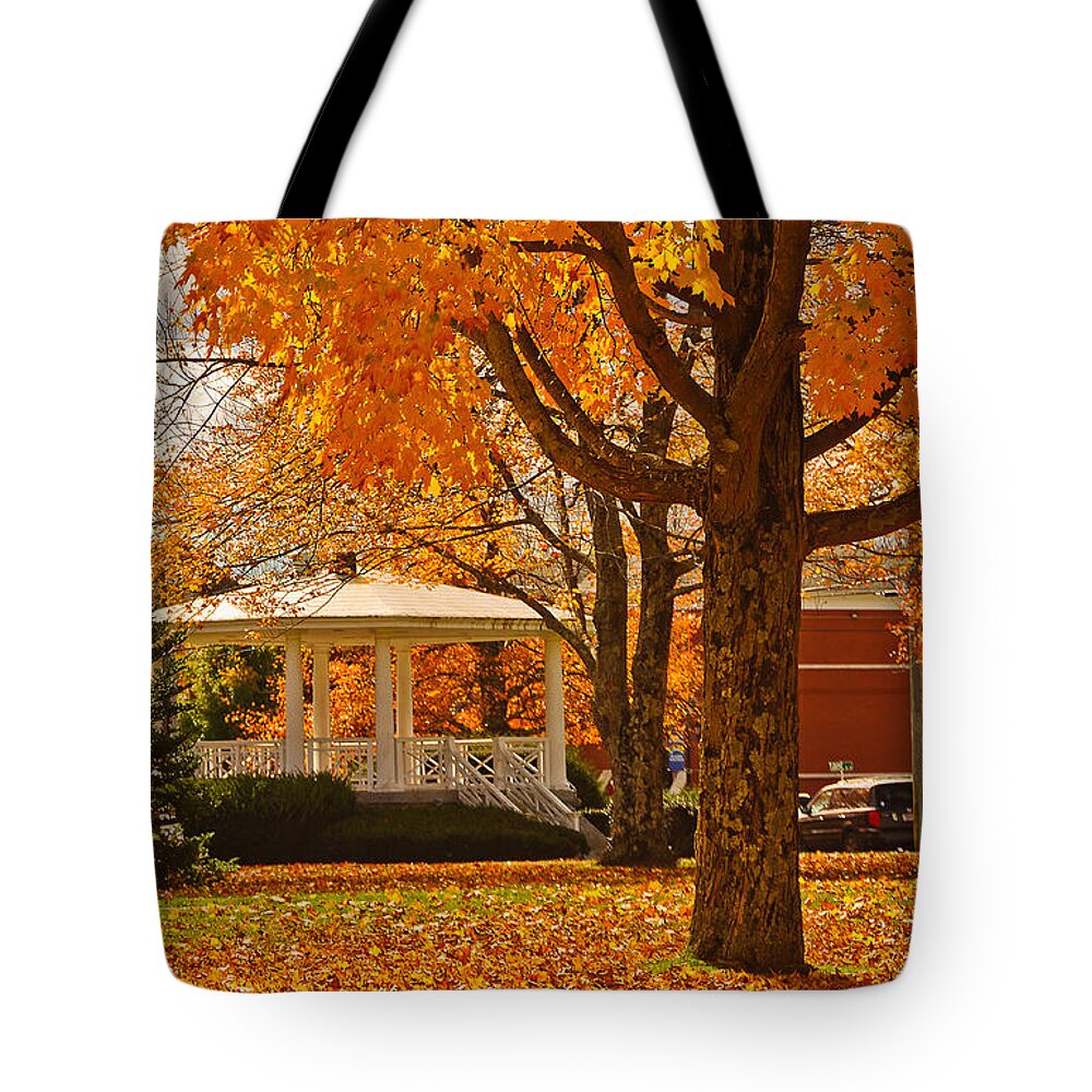 Autumn Tote Bag featuring the photograph Autumnal Barre Common by Mitchell R Grosky