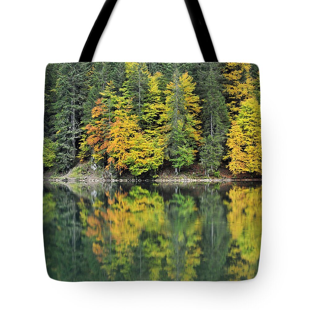 Nis Tote Bag featuring the photograph Autumn forest Reflected In Lake Haute by Andre Gilden
