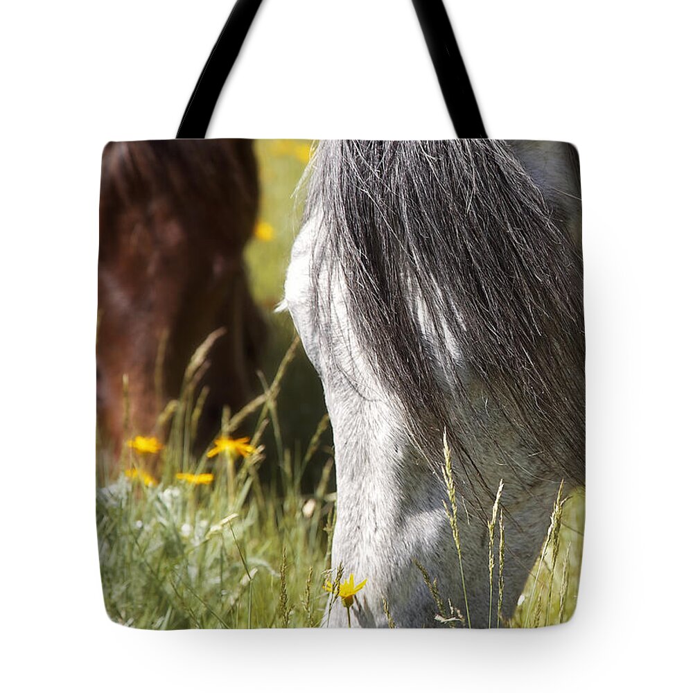 Powder Horn Ranch Tote Bag featuring the photograph Autumn's Graze by Amanda Smith