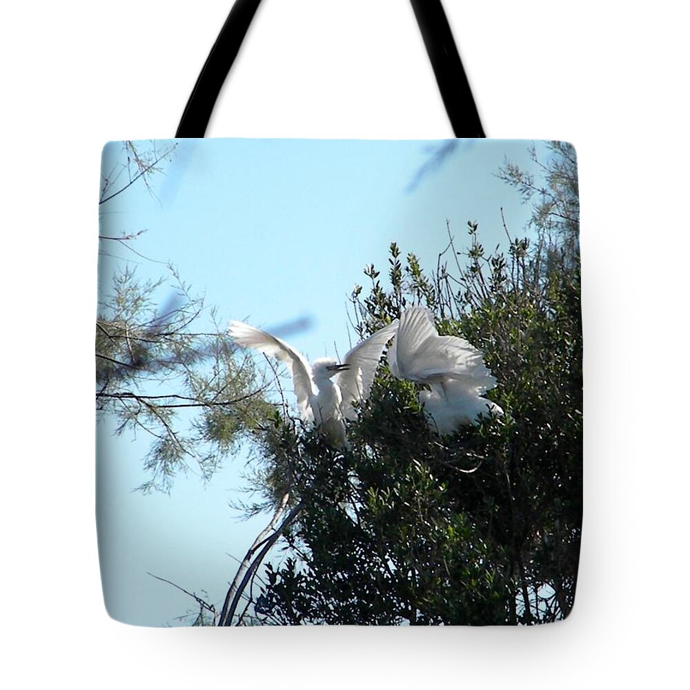 Baby Birds Tote Bag featuring the photograph Baby birds fighting by Manuela Constantin