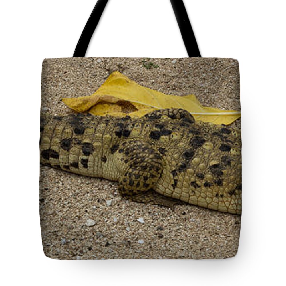 Baby Croc Tote Bag featuring the photograph Baby Croc by Suzanne Luft