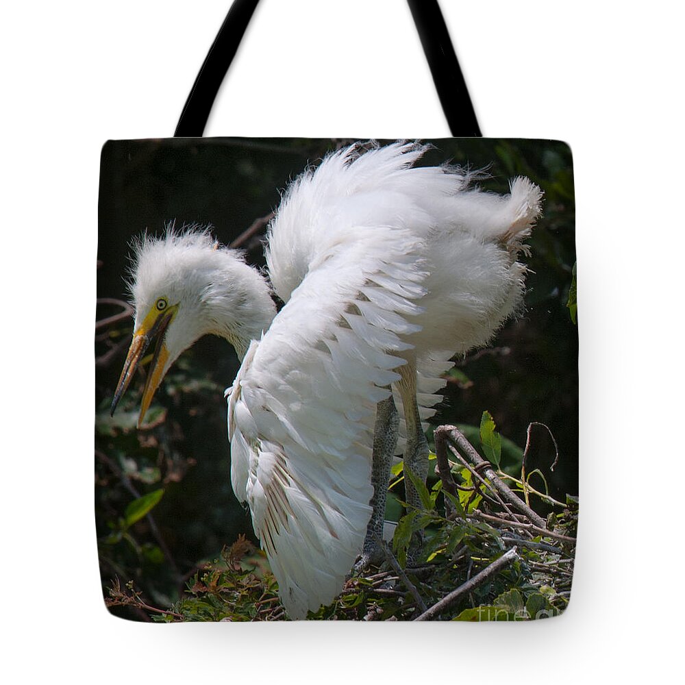 Egret Tote Bag featuring the photograph Baby Egret by Dale Powell