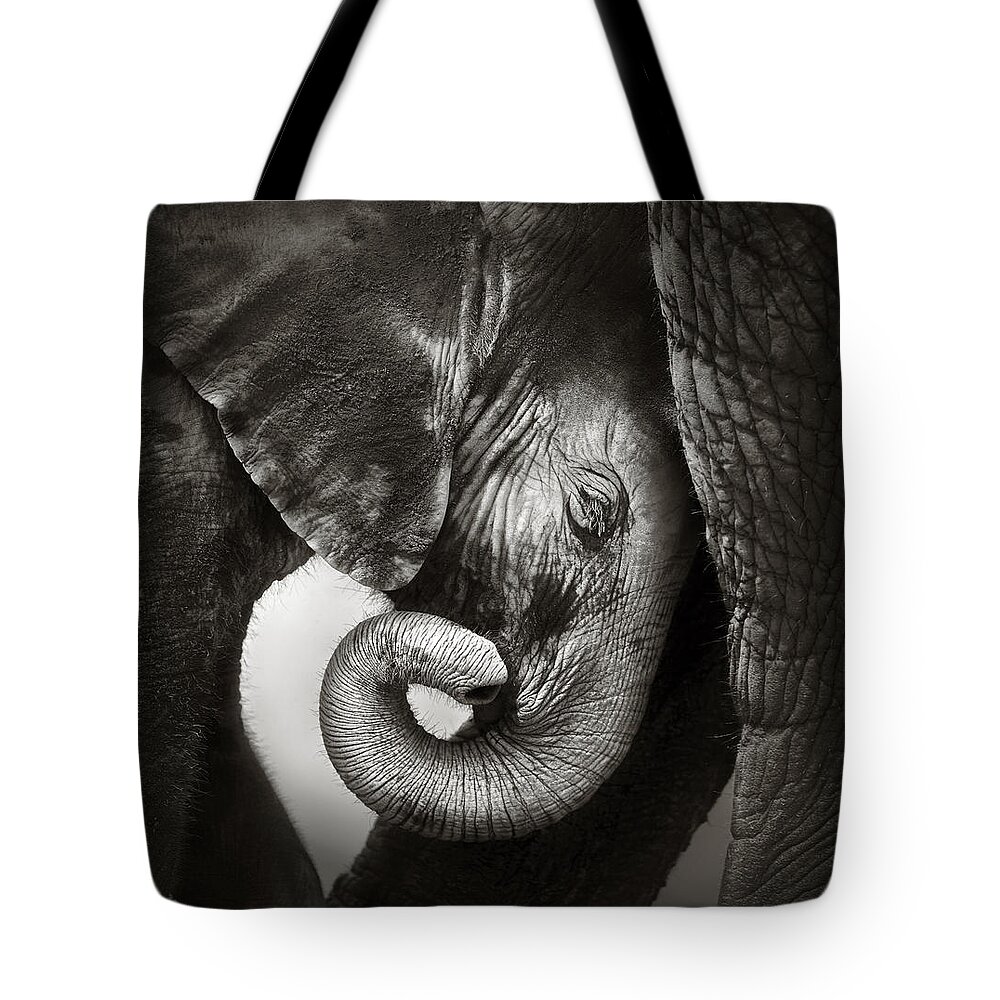 Elephant Tote Bag featuring the photograph Baby elephant seeking comfort by Johan Swanepoel