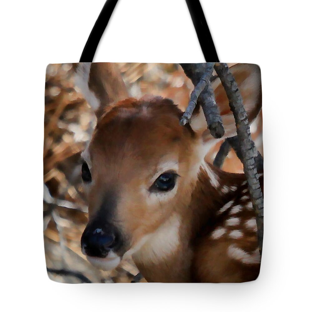 Fawn Tote Bag featuring the photograph Baby Face Fawn by Athena Mckinzie