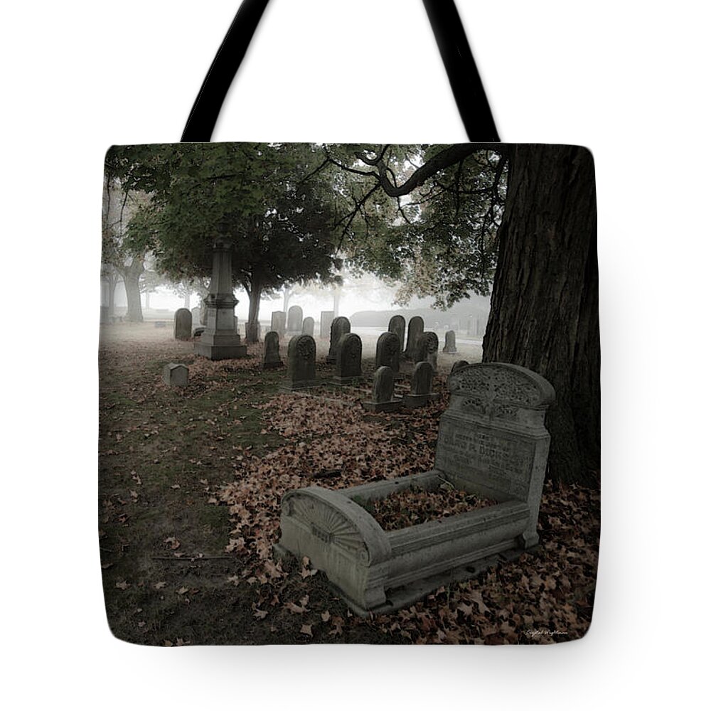 Cemetery Tote Bag featuring the photograph Baby Gravestone by Crystal Wightman