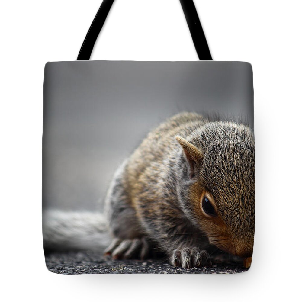 Squirrel Tote Bag featuring the photograph Baby Squirrel Gets a Snack by Andrew Pacheco