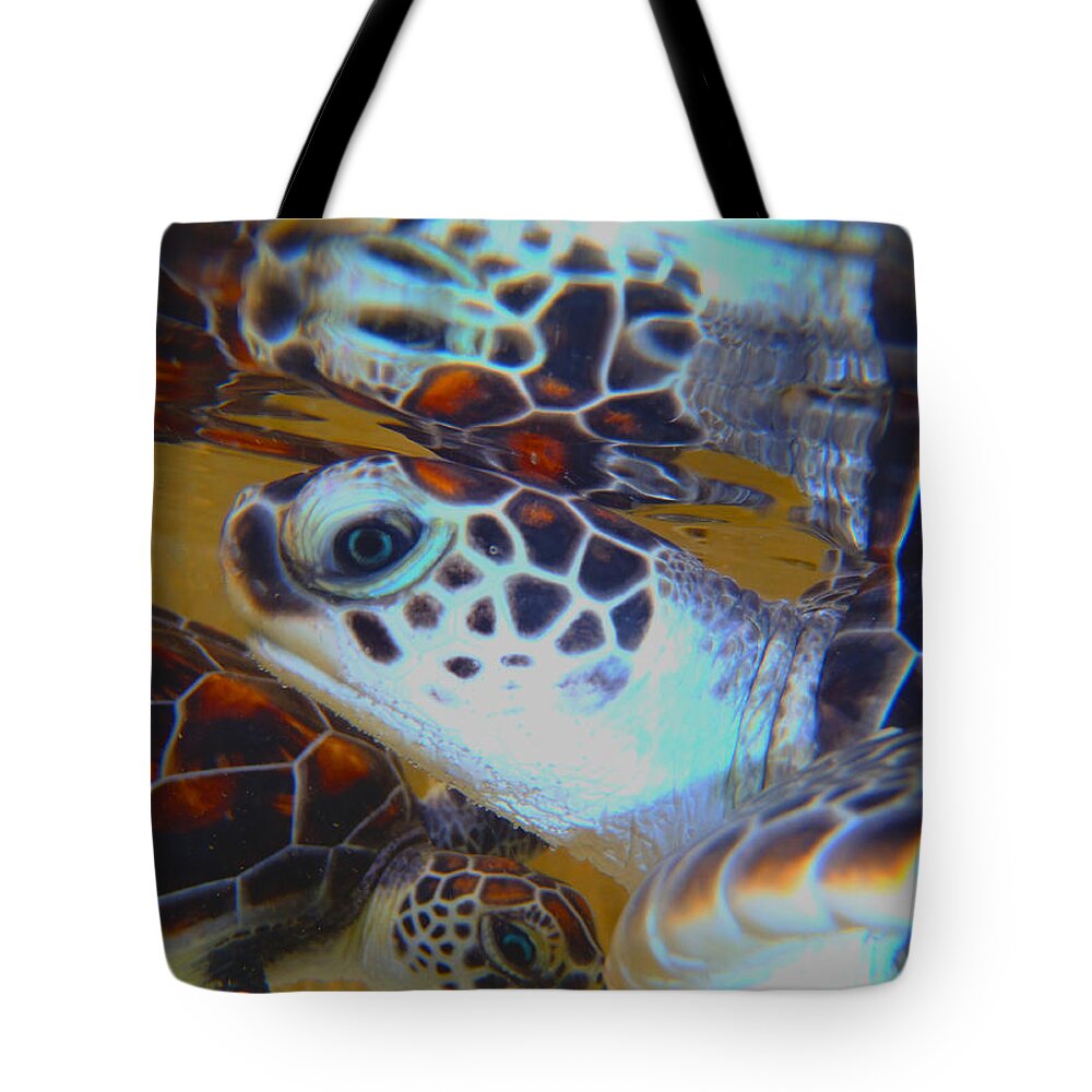 Turtle Tote Bag featuring the photograph Baby Turtles by Carey Chen